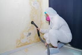 Trusted Havre De Grace, MD Mold Removal & Remediation Experts